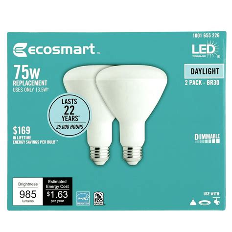 ecosmart 75 watt led daylight